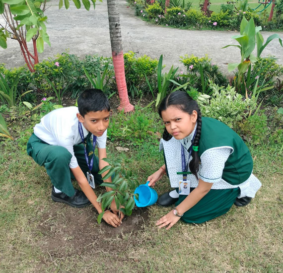 JMD International School