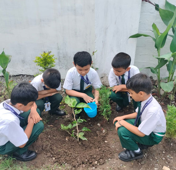JMD International School