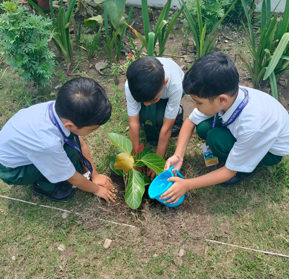 JMD International School