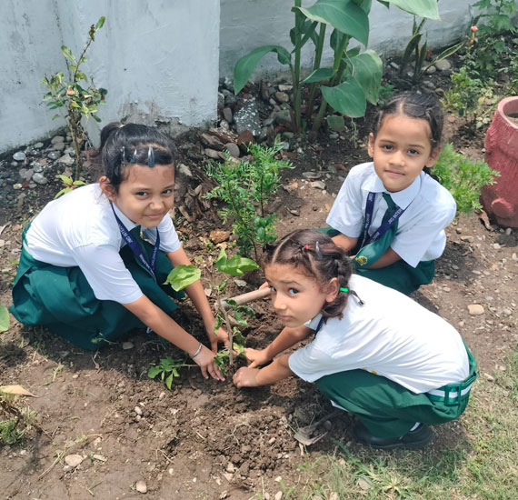 JMD International School