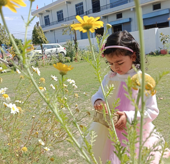 JMD International School