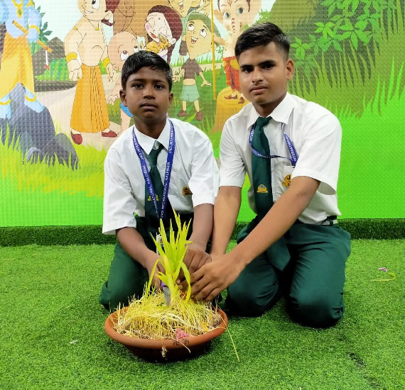JMD International School